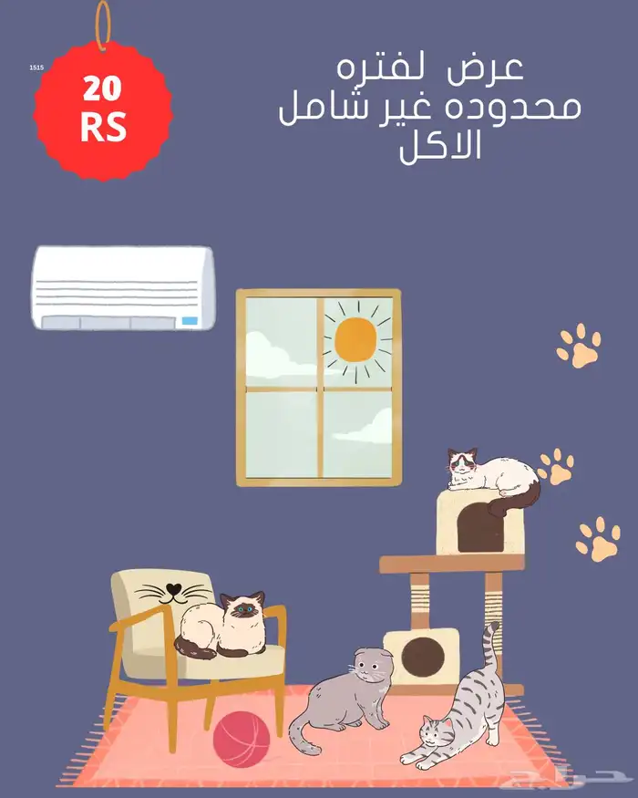 فندقه قطط 1