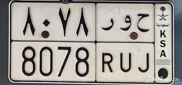 لوحه ( حور ) للبيع 0