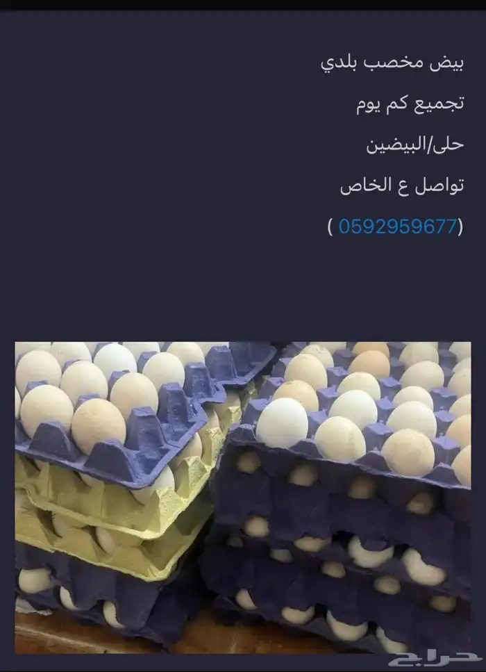 بيض 0