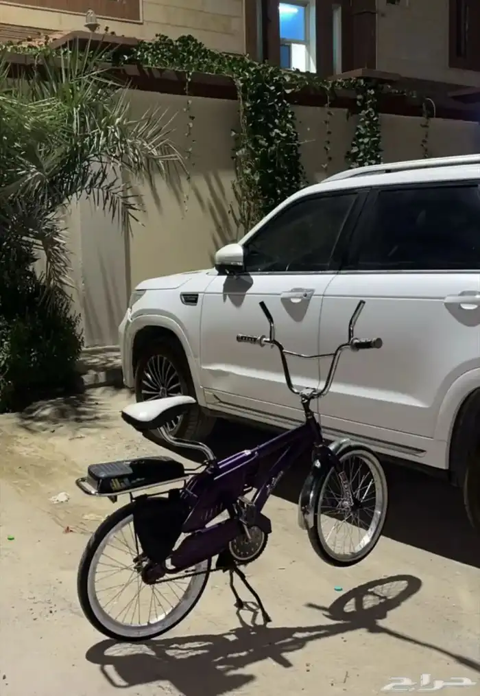 سيكل رامبو بنفسجي علا السوم 0