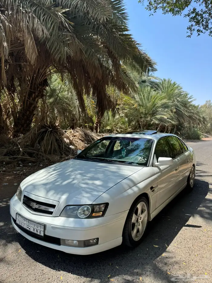 كابرس للبيع 4