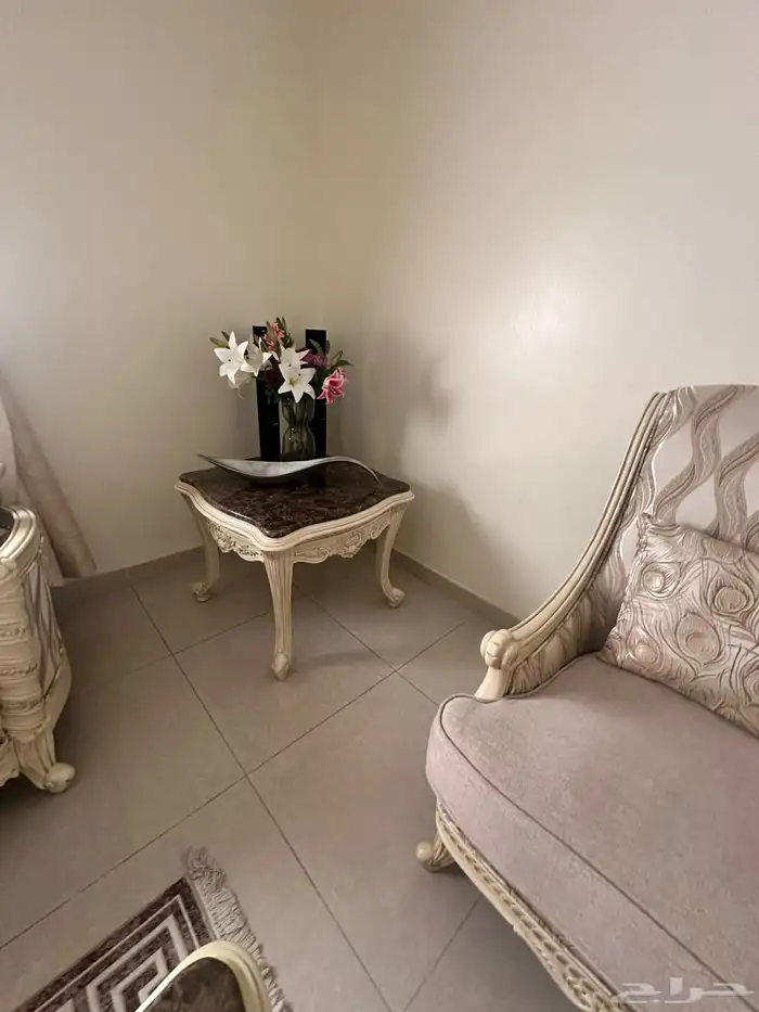 كنب جديد المطلق 2