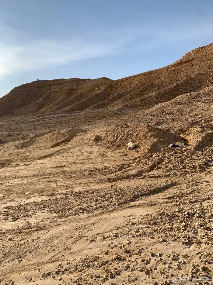 أرض للإيجار في العمارية 20 ألف متر 0