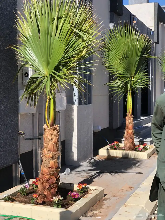 تنسيق حدائق منزليه 38