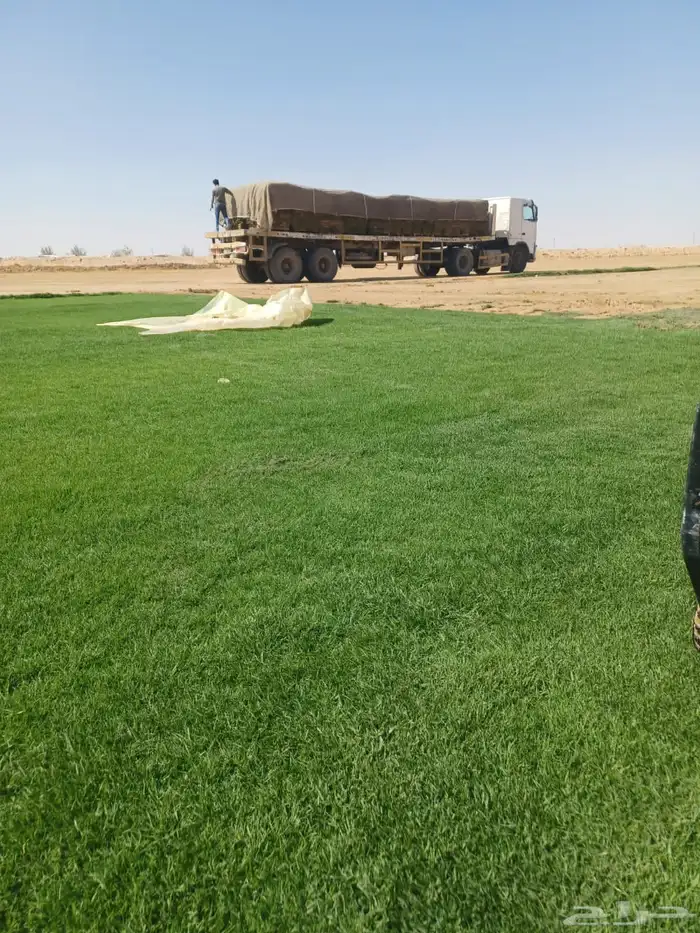 تنسيق حدائق منزليه 15