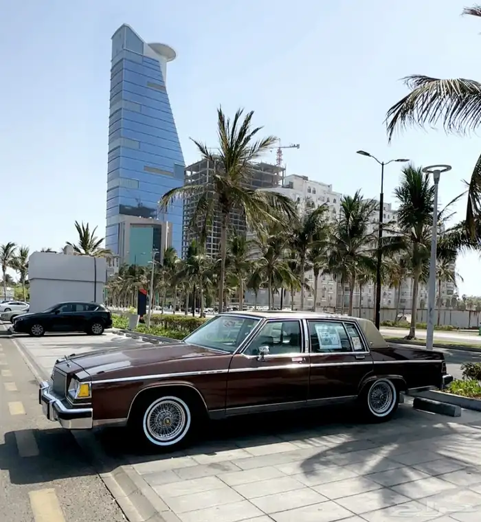 بيوك بارك افينو موديل 81 1