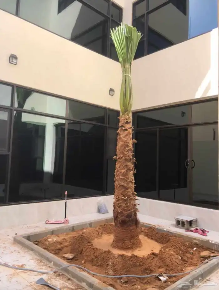 تنسيق حدائق منزليه 57