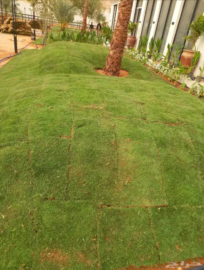 تنسيق حدائق منزليه 66