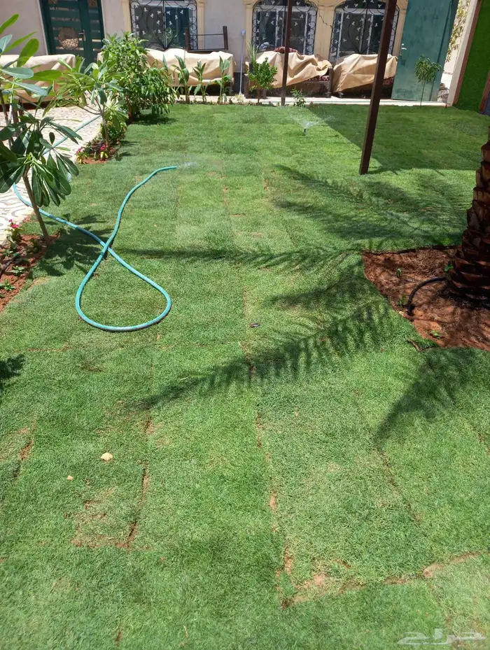 تنسيق حدائق منزليه 63