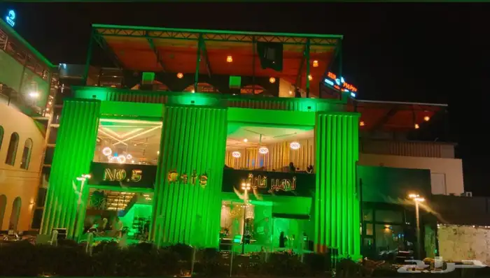 افتتاح محلات وأضواء اليوم الوطني 5