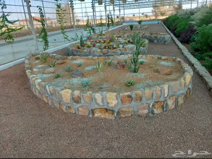 تنسيق حدائق منزليه 50