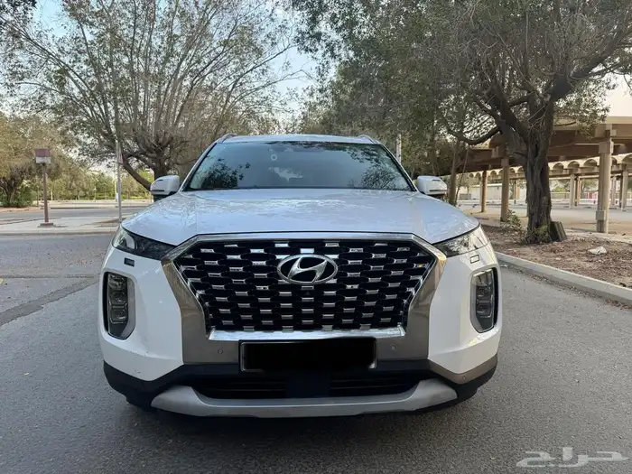 بيع سيارة بالسيد موديل 2019 21