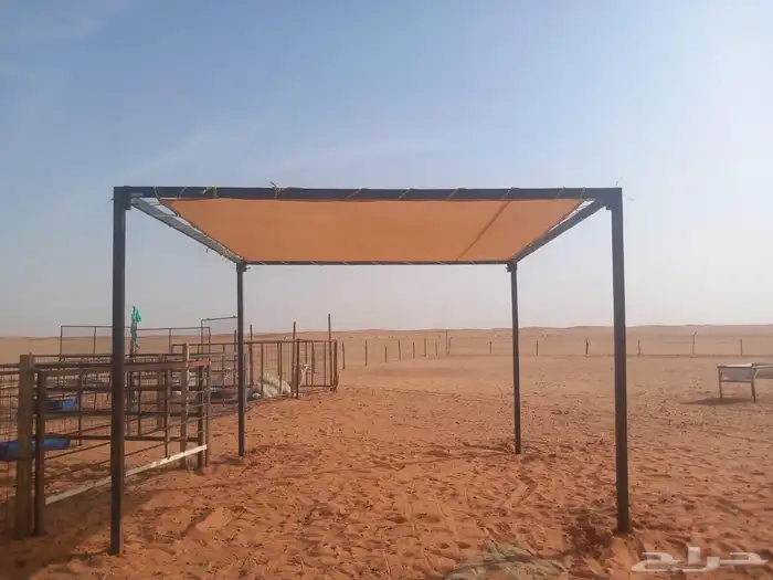 عرض خاص خصم 40  على مظلات الإبل 5