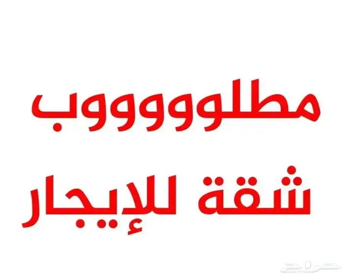 مطلوبك شقه للإيجار عوائل 0
