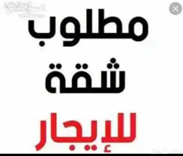 مطلوب شقه 0