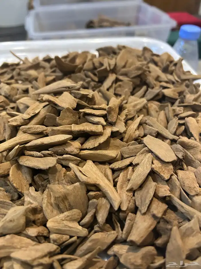 عود سوبر مرتفع ودبل موروكي اصقون طبيعي 1