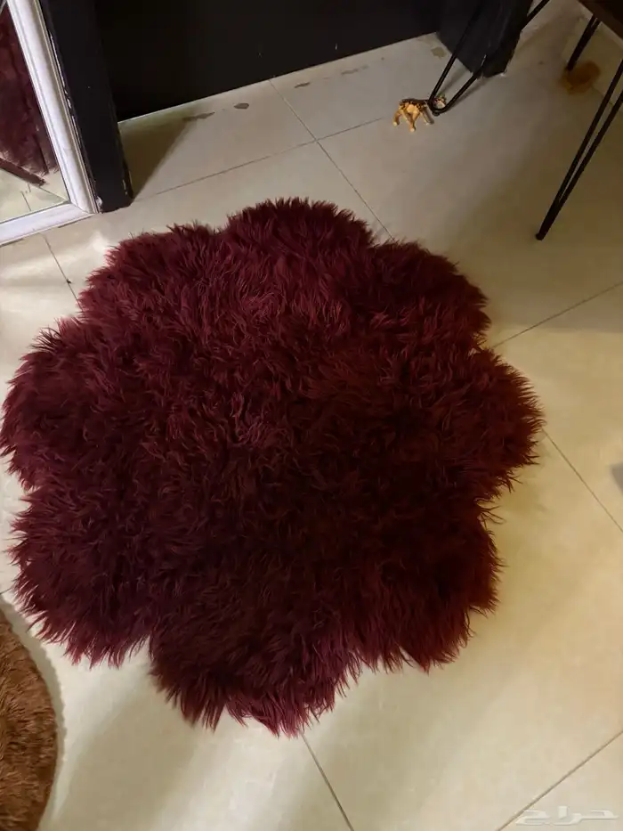 مدات ريش للبيع 1