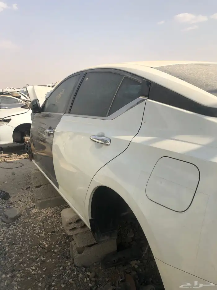 ألتيما موديل 2014-2024 1