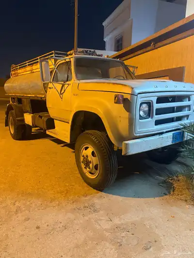 وايت دوج دبل مديل 82 نظيف جدا index