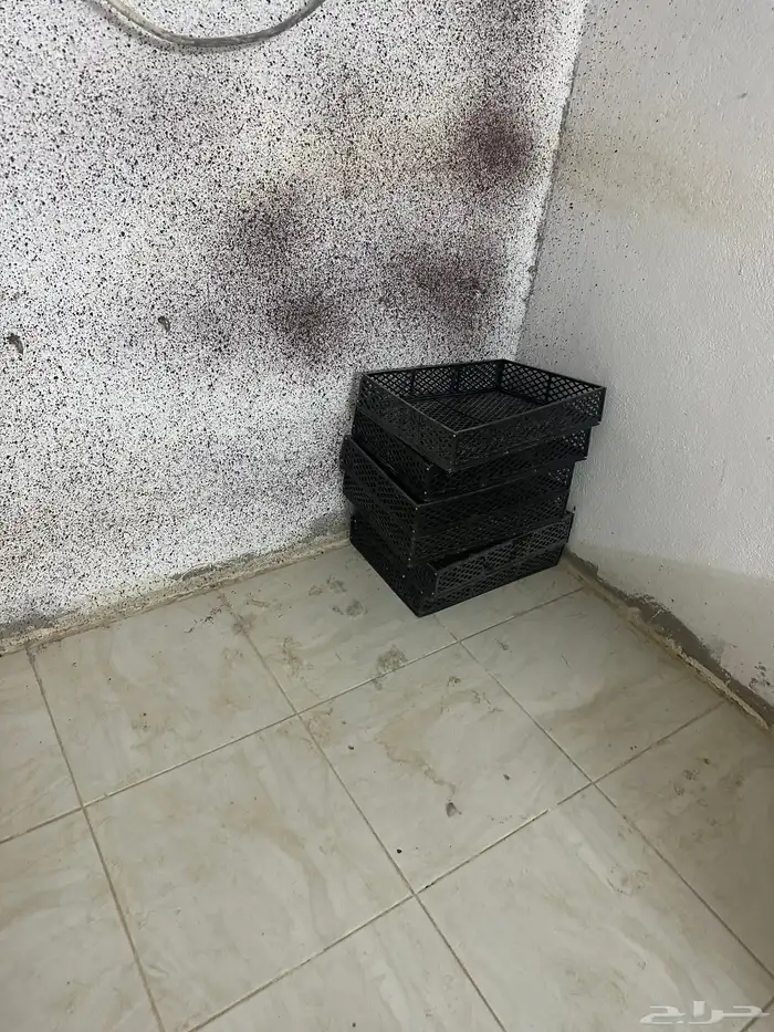فقاصه(تم البيع) 0
