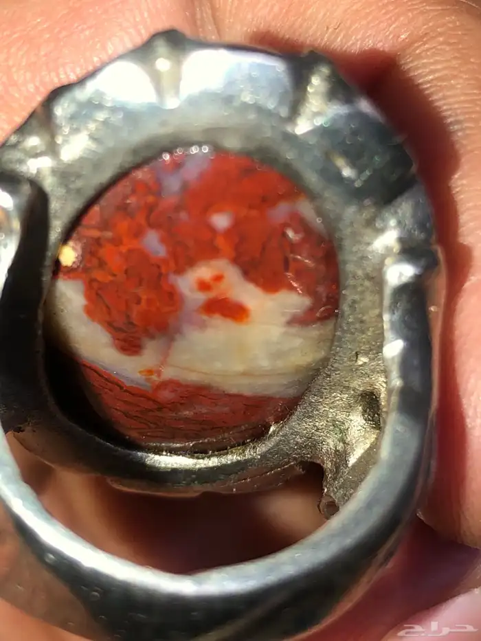 عرض الكم خاتم   جاسبر مصور دموي من النوادر 1