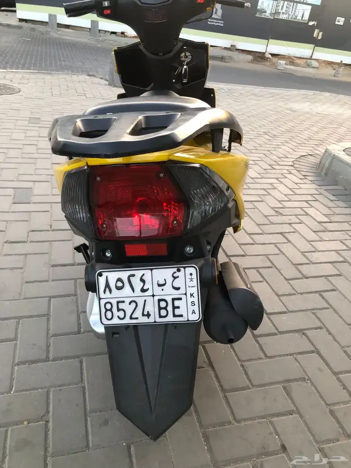 عجيب 2025 11