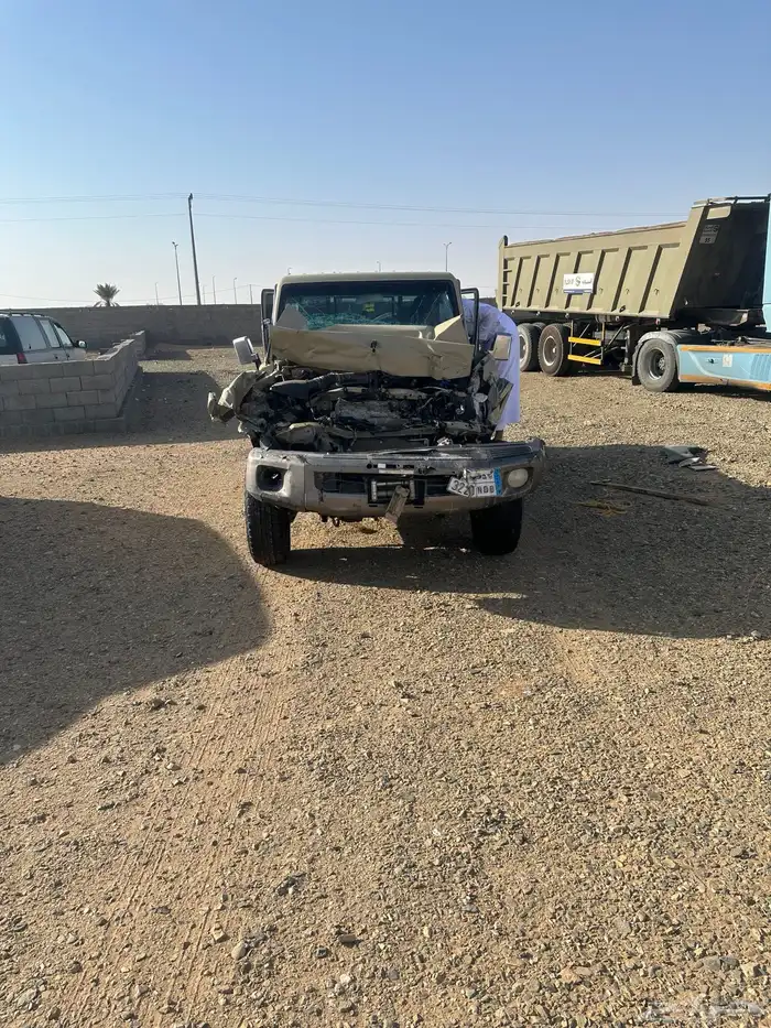 جيب شاص موديل 2019 مصدوم للبيع 10