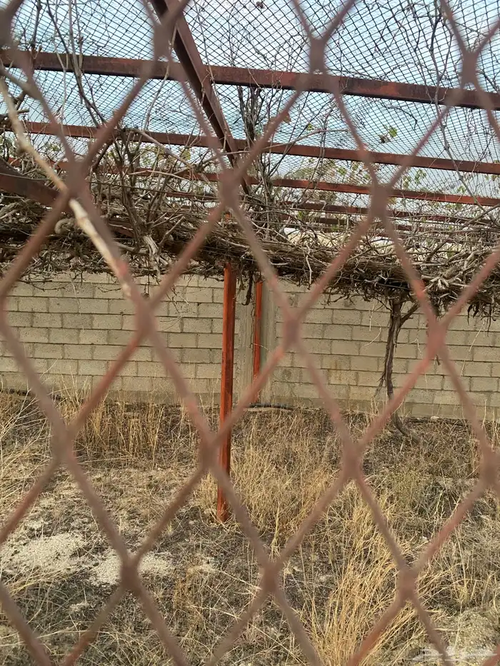 شبك بقلاوة ينفع للحلال والمزارع والطيور 4