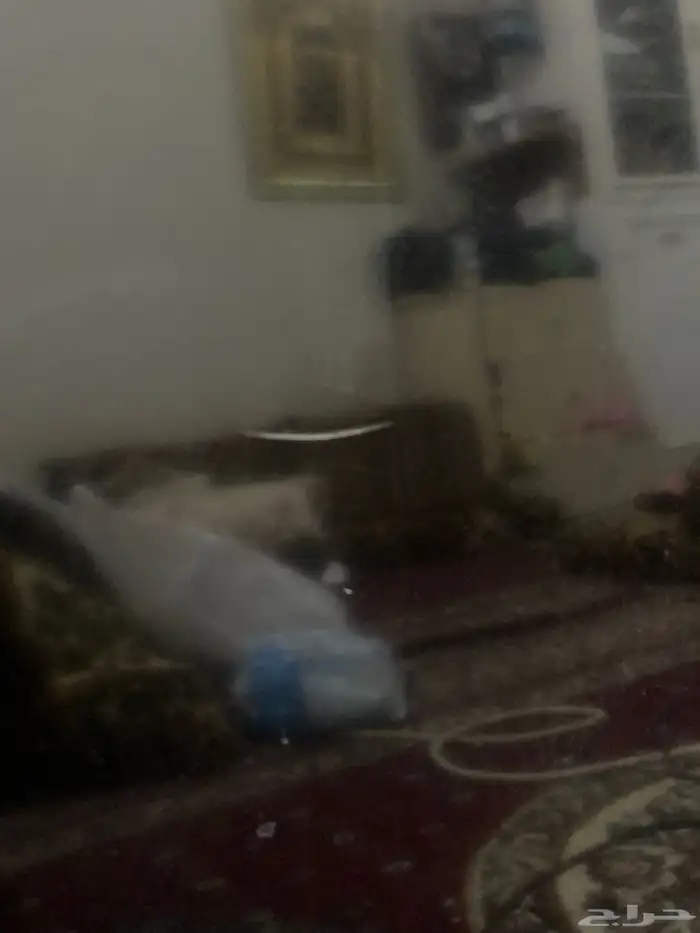 شاشة aLc 5