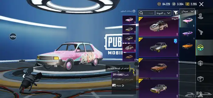 حساب ببجي 13