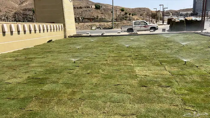 زراعه وشبكات ري عادي واتوماتك 33