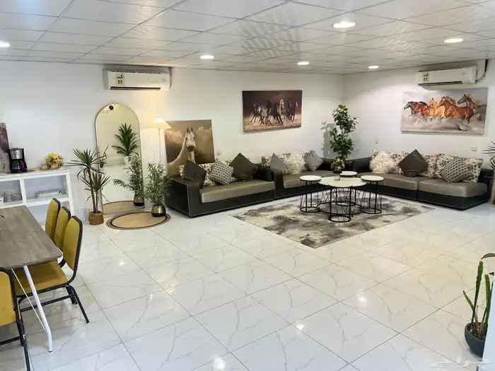 مربط الملاذ للخيل العربية 3