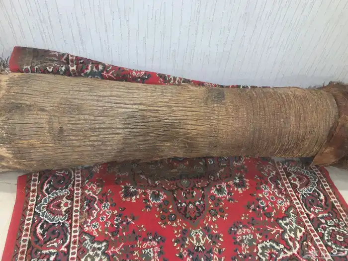 نخله 2