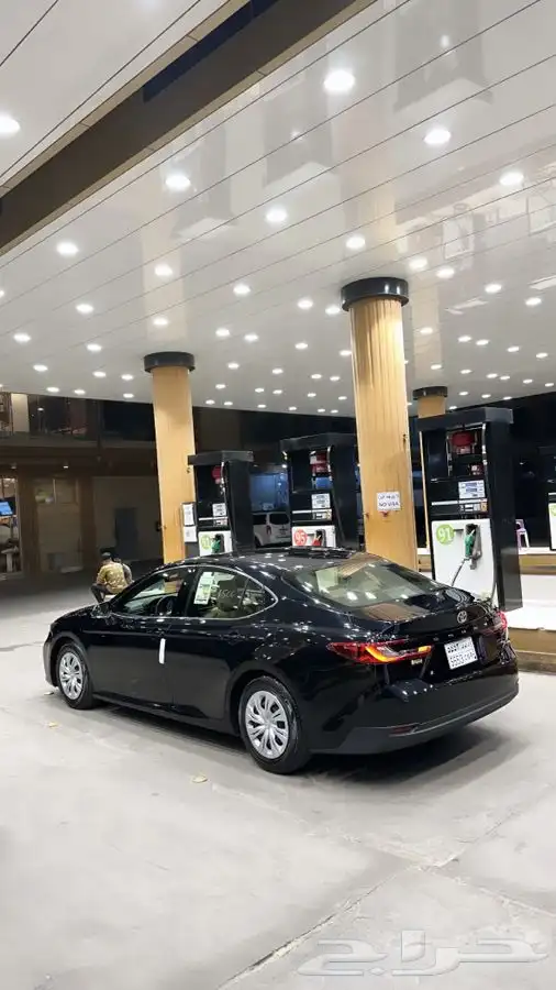 بيشه عسير 2