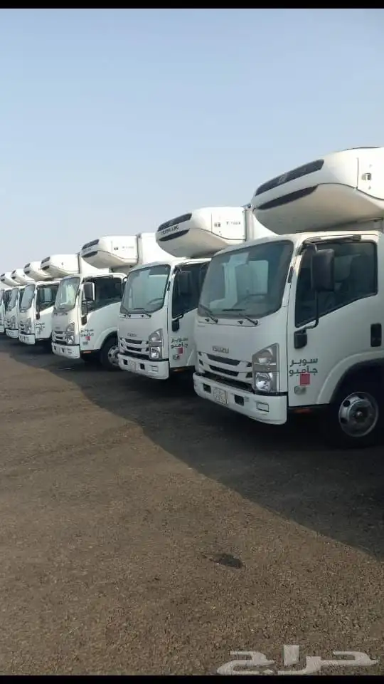 دينا للايجار 0