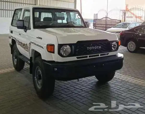 ربع سلق عادي دفلك ابيض 2025 8
