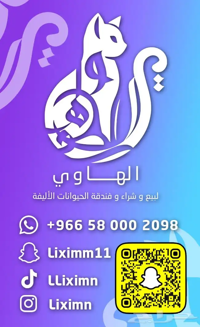 حرباء محجبة 2