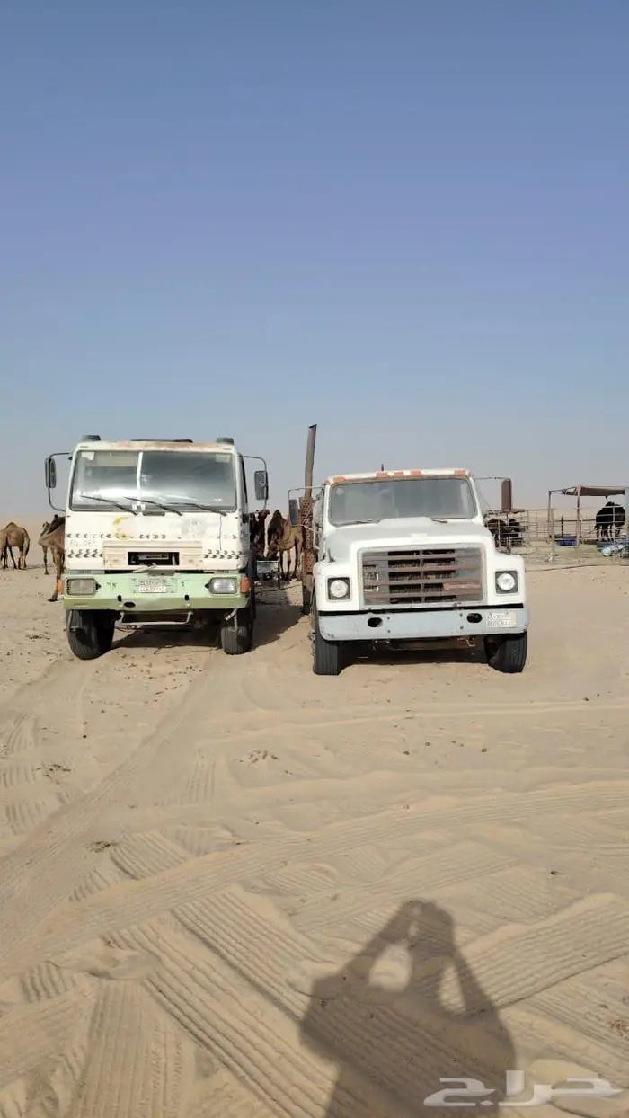 وايت عايدي مسقط 3