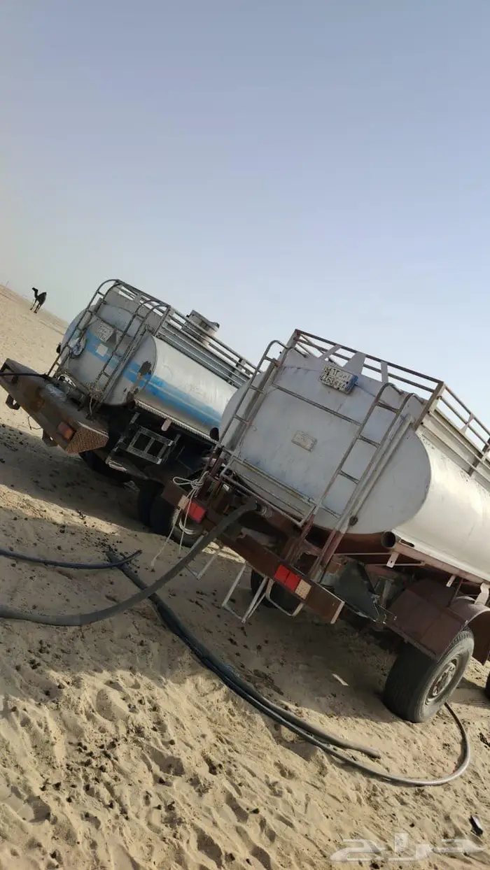 وايت عايدي مسقط 1