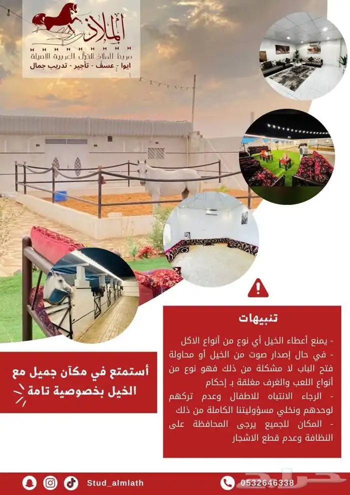 مربط الملاذ للخيل العربية 2