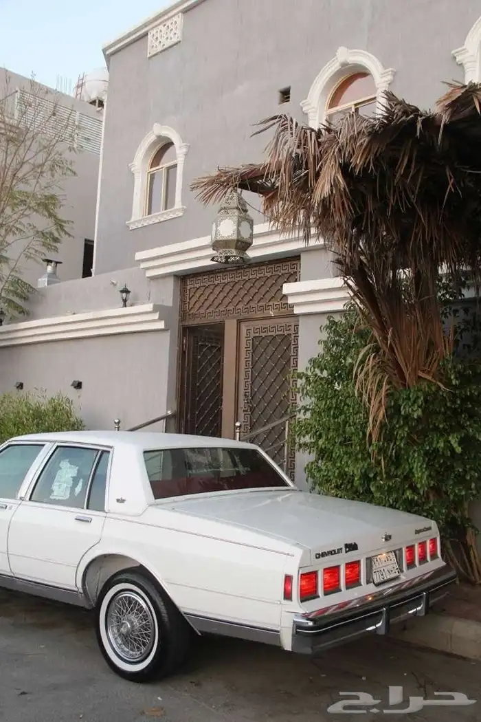 كابرس 1984 2