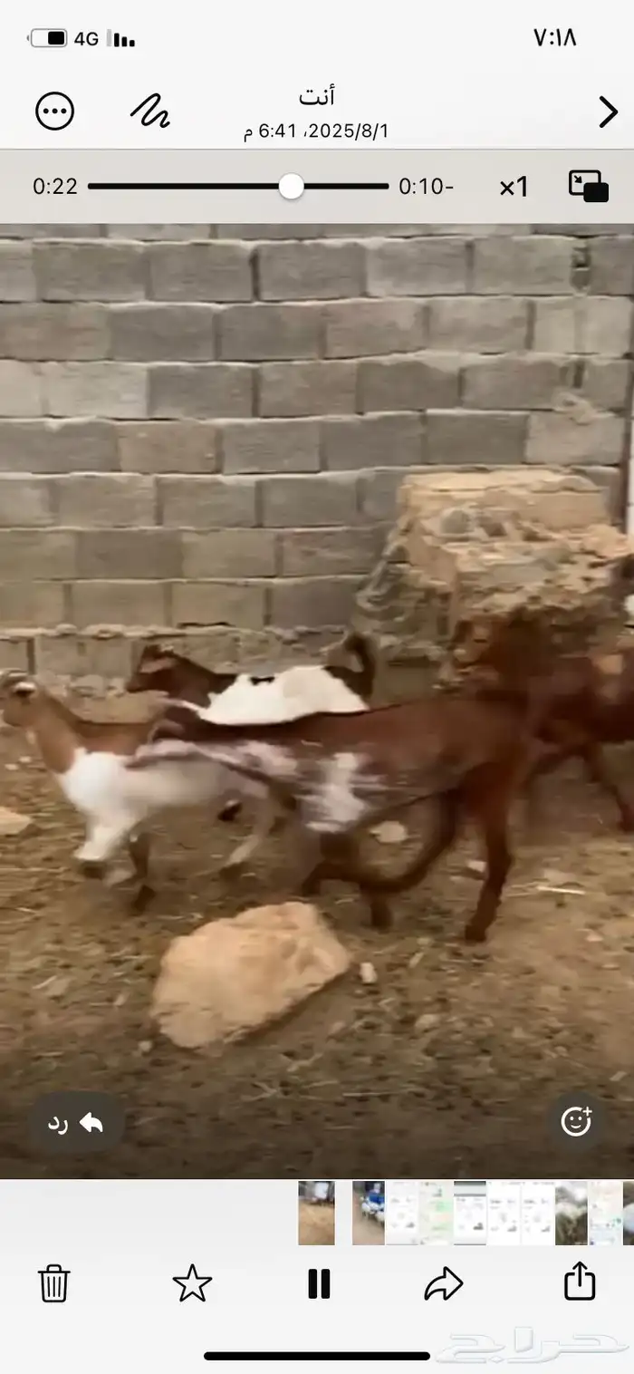 6تيوس 0
