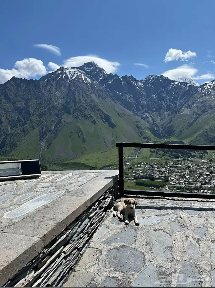 جداول سياحية وبكجات وسواقين في دولة جورجيا 65