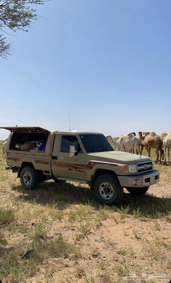 للبيع شد طربال شاص 0