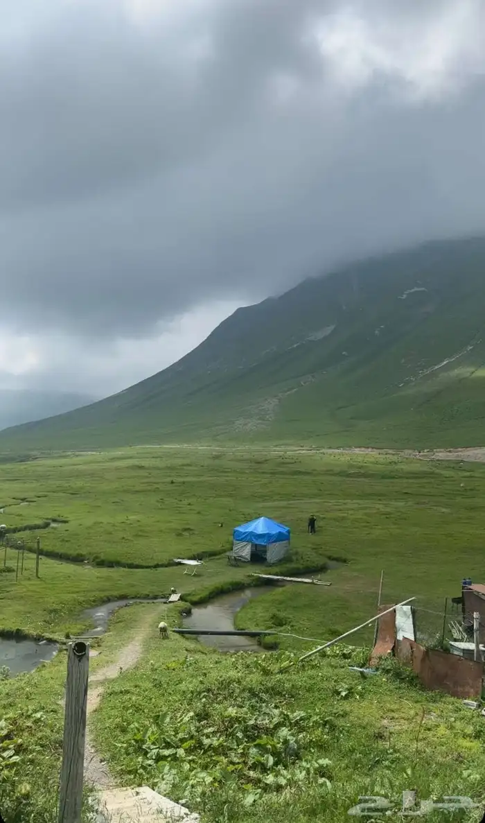 جداول سياحية وبكجات وسواقين في دولة جورجيا 36
