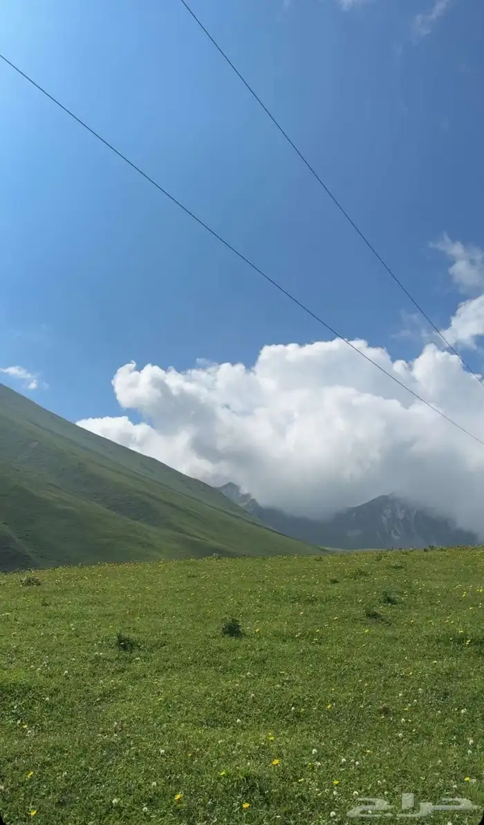 جداول سياحية وبكجات وسواقين في دولة جورجيا 35