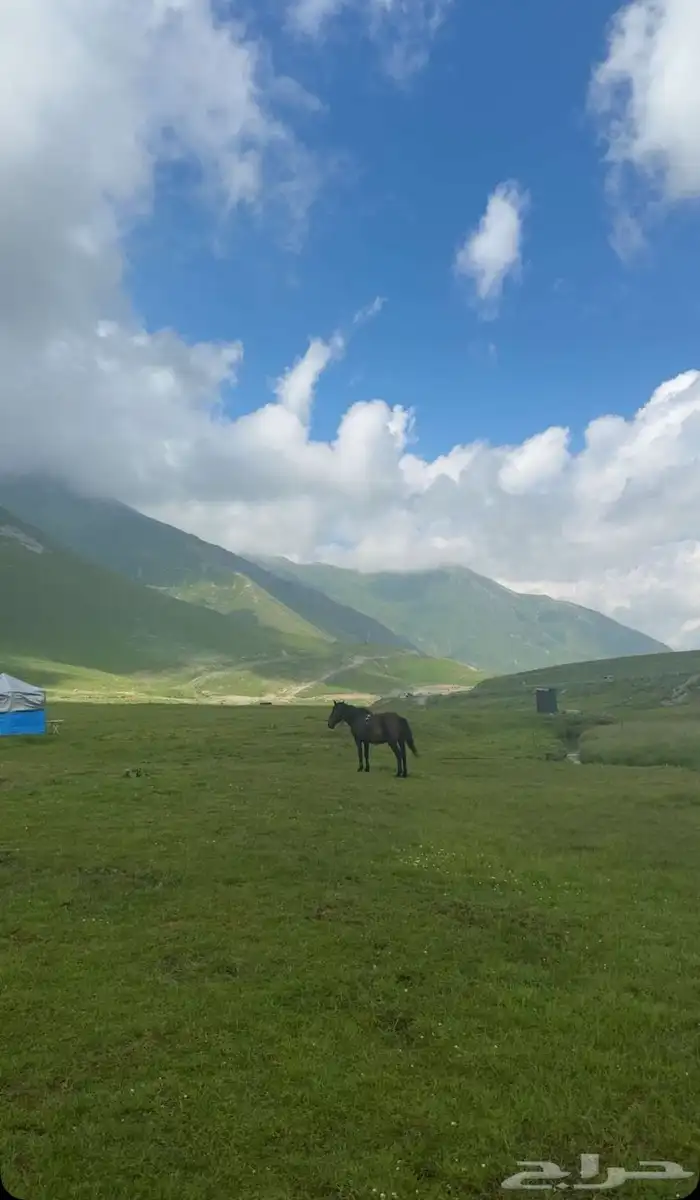 جداول سياحية وبكجات وسواقين في دولة جورجيا 33