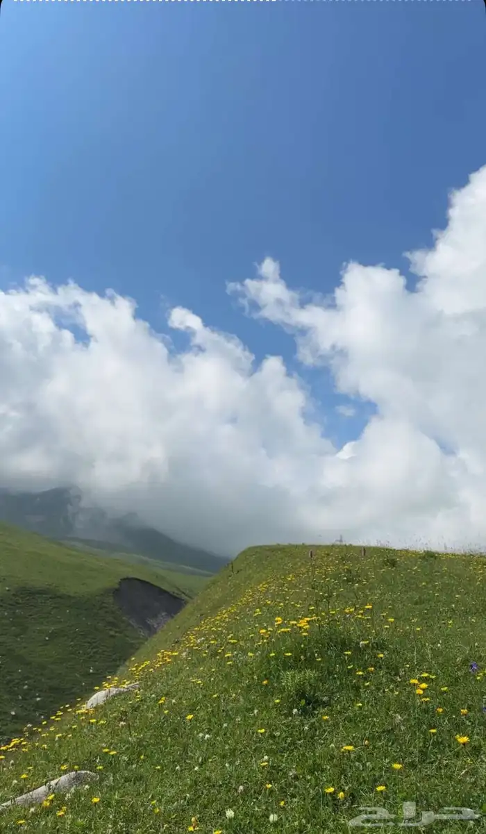 جداول سياحية وبكجات وسواقين في دولة جورجيا 32