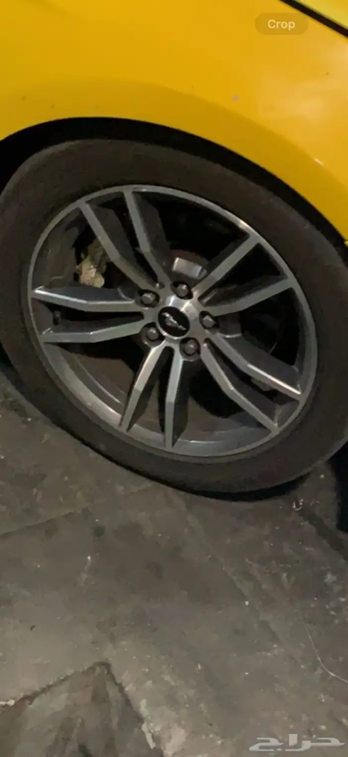 جنوط موستنج 0