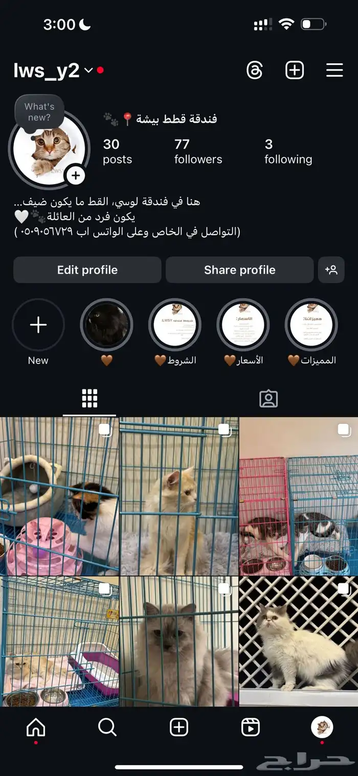 فندقة قطط 0